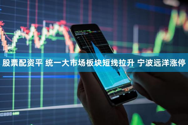 股票配资平 统一大市场板块短线拉升 宁波远洋涨停